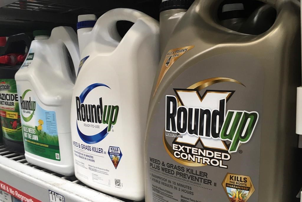 FILE - In this Feb. 24, 2019, file photo, containers of Roundup are displayed on a store shelf in San Francisco.