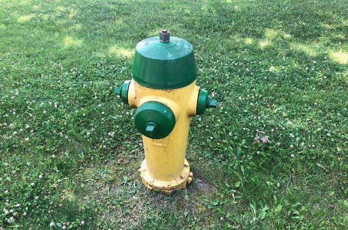 Over 2,700 fire hydrants are to be tested in Guelph, according to the city.