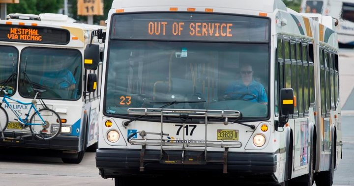 ‘You’re a sitting duck’: Halifax Transit union calls for more protection after drivers assaulted