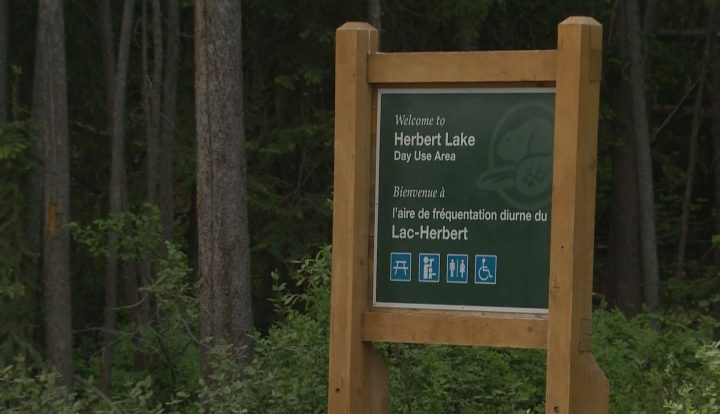The body of a man was recovered in Herbert Lake, Alta., on July 6, 2019, according to RCMP. 