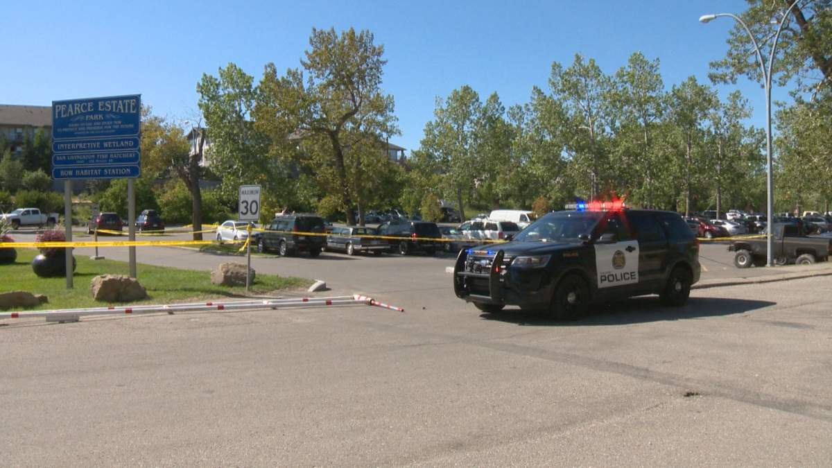 Calgary police are asking for the public's help finding a truck involved in a hit and run in Inglewood on Friday afternoon. 