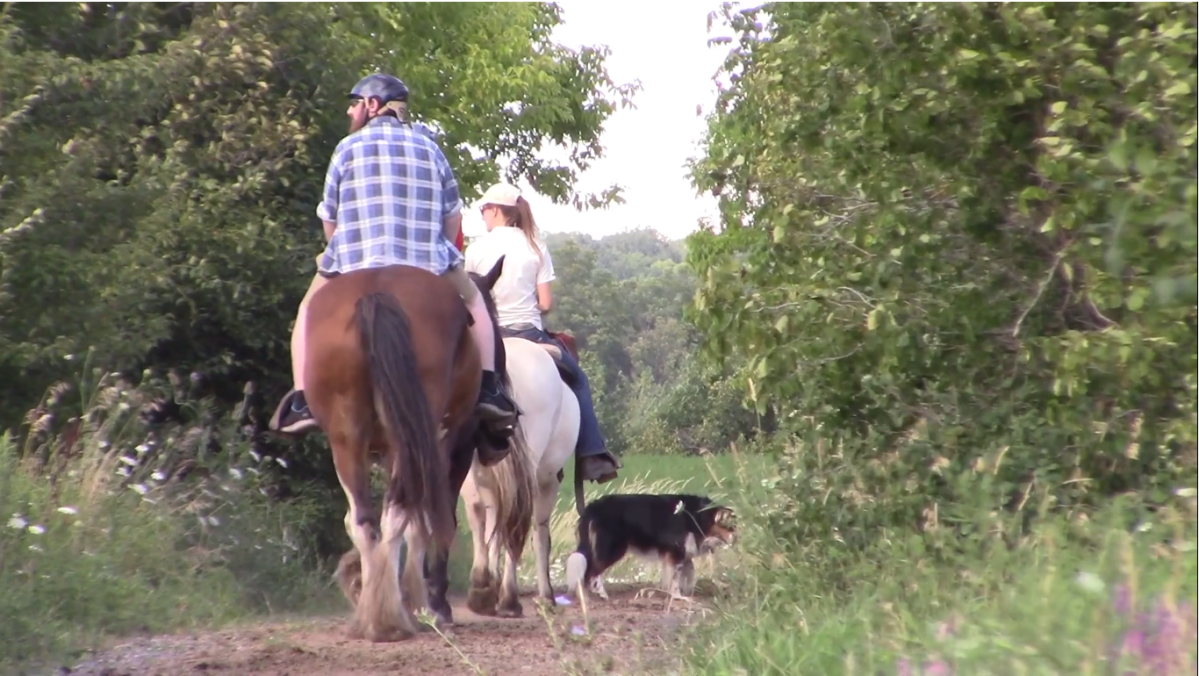 Horseback Riding at the Ranch in Oakville, Ont.