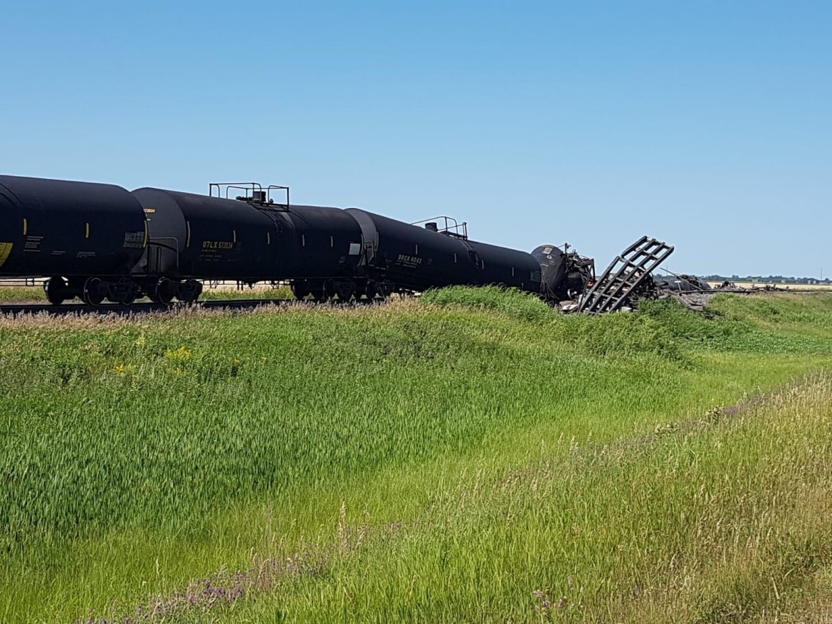 RCMP say no one was injured when a train derailed near La Salle, Man. Tuesday.
