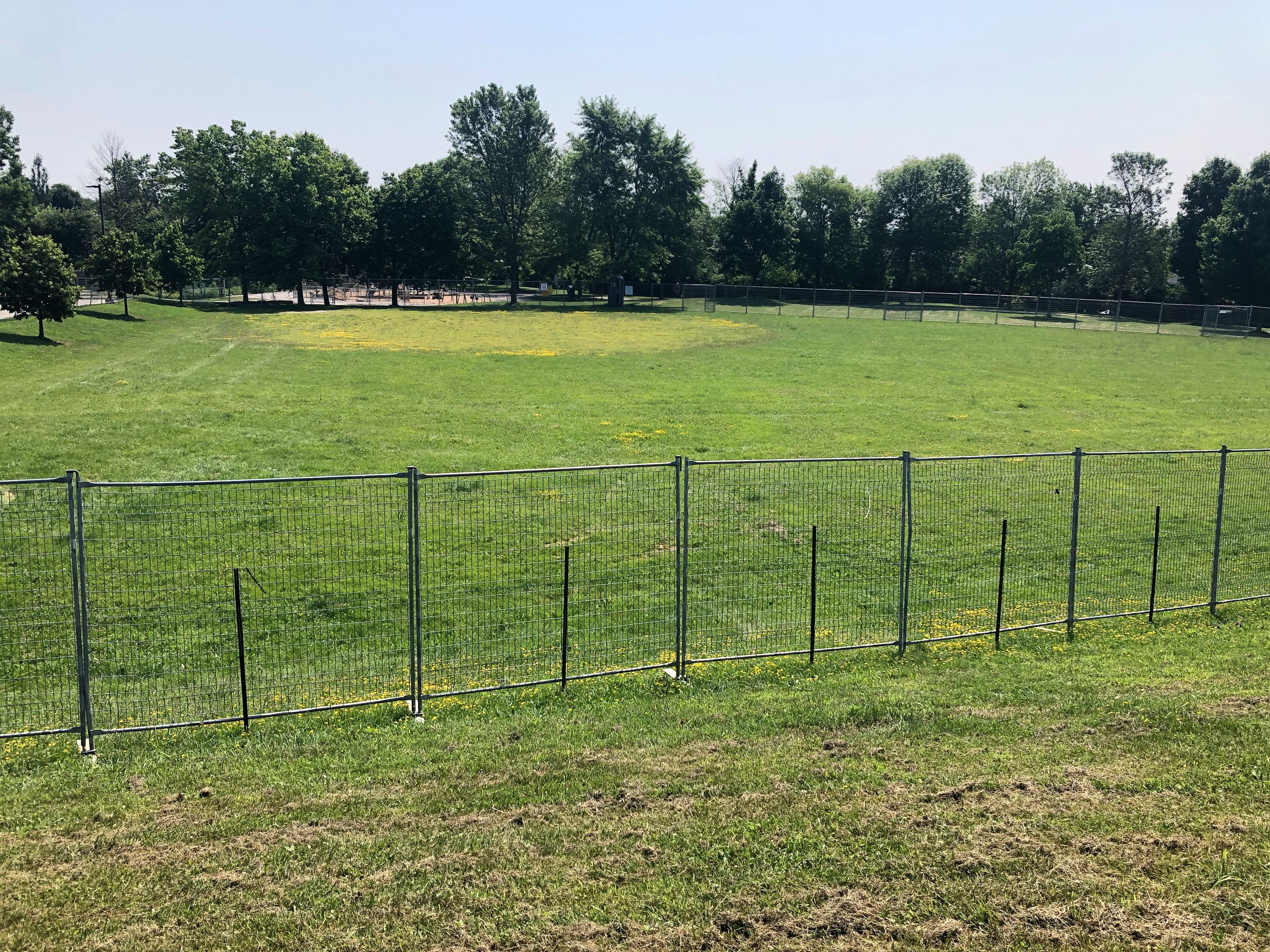 fenced in dog park