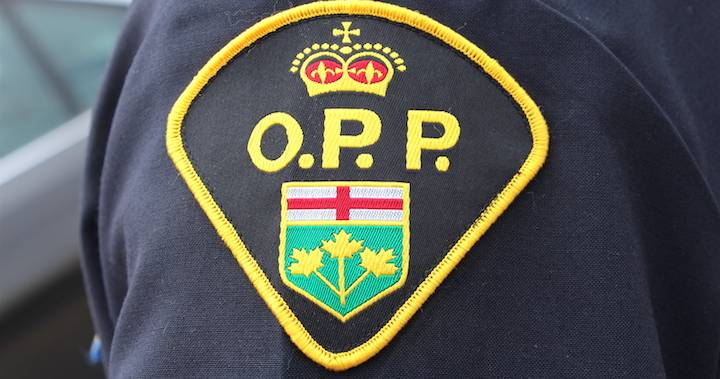 Pedestrian dead after fatal hit and run in Brant County, Ont.