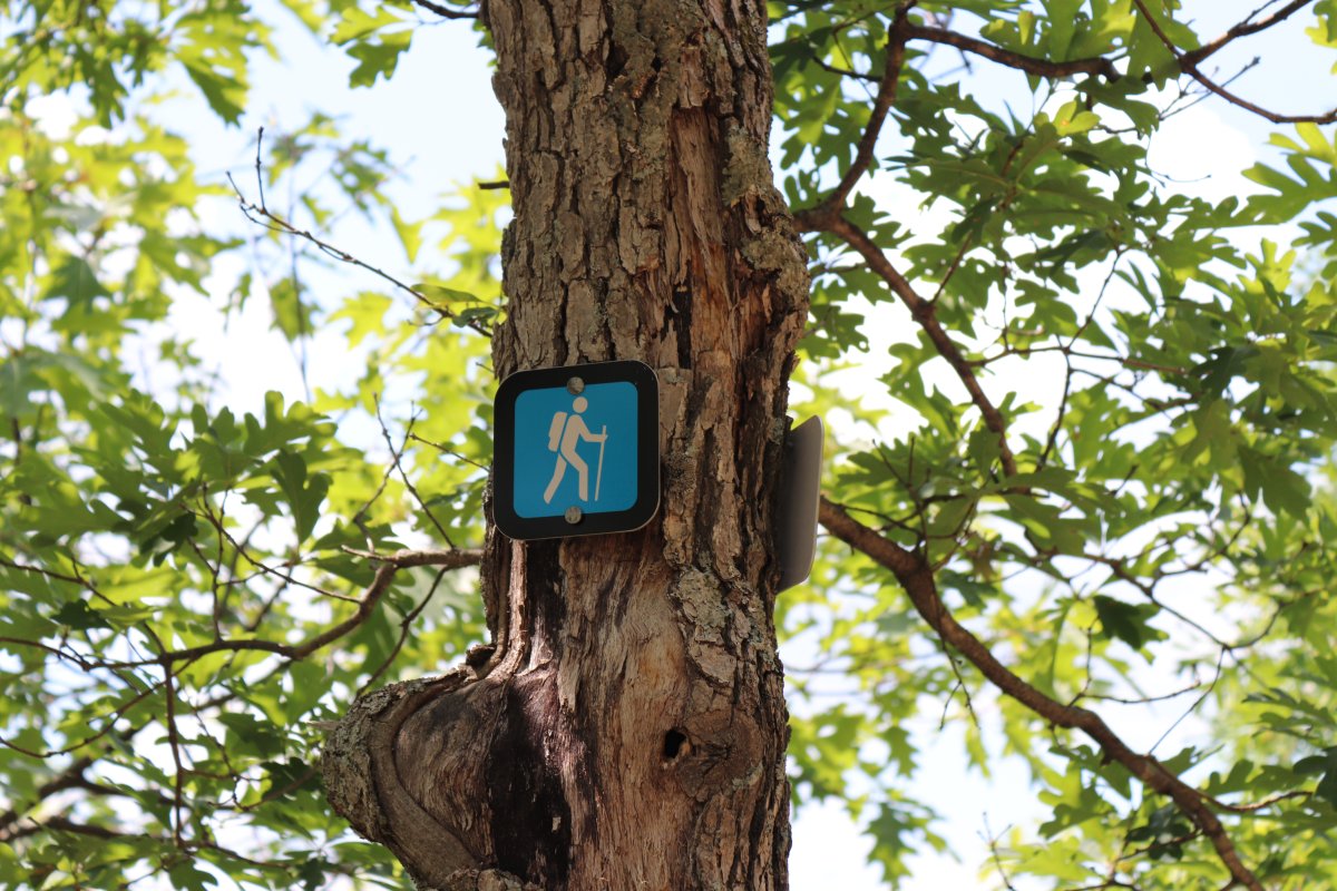 Gatineau Park's roads and trails are fair game for hikers and mountain bikers starting Friday.