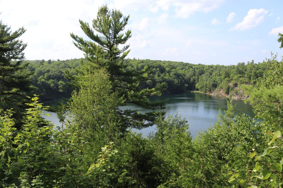 An image of Pink Lake in Gatineau Park, taken on Saturday, July 27, 2019.