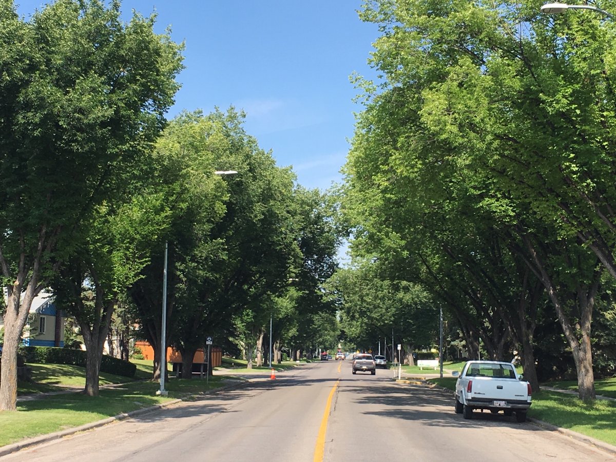 A residental street in the northwest Calgary community of Brentwood. 