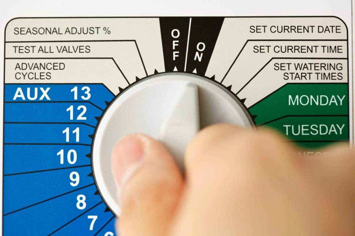 Easy ways to use a little less water in your own backyard - image