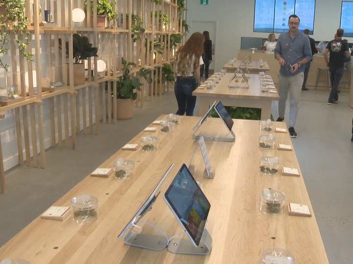 An inside look at Hobo Recreational Cannabis Store in Kelowna.
