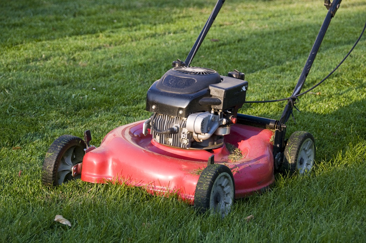 Easy ways to use a little less water in your own backyard - image