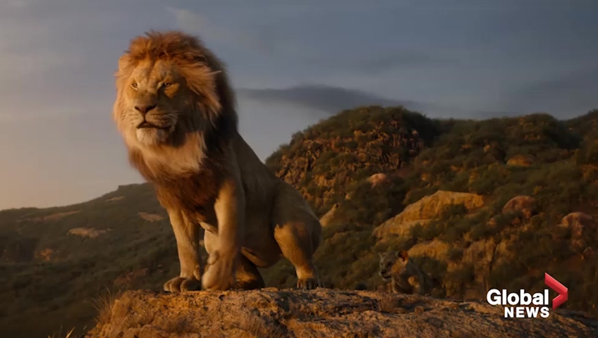 The Lion King The First Reactions To The Live Action Version Are Here National Globalnews Ca