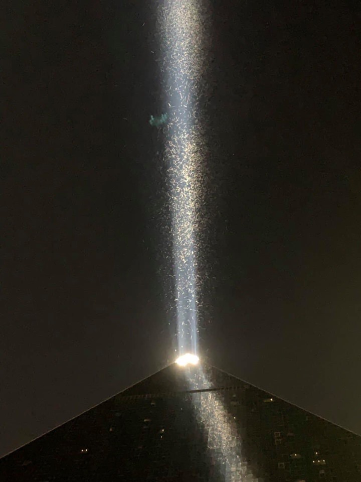 Grasshoppers swarm over the Luxor Hotel’s Sky Beam in Las Vegas, Nev., on July 26, 2019.