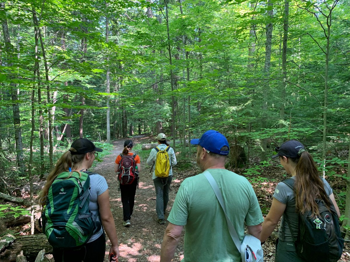 Research group targets Peterborough County area for old-growth forests ...