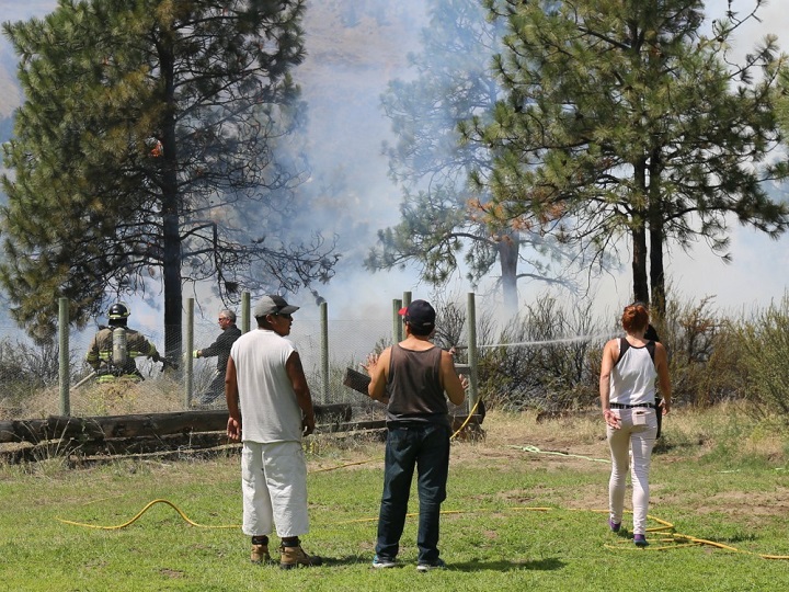 Onlookers watch firefighters knock down the bush blaze.