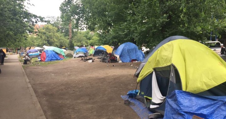 Neighbours To Oppenheimer Park Homeless Camp Call On City To Speed Up Response Globalnews Ca