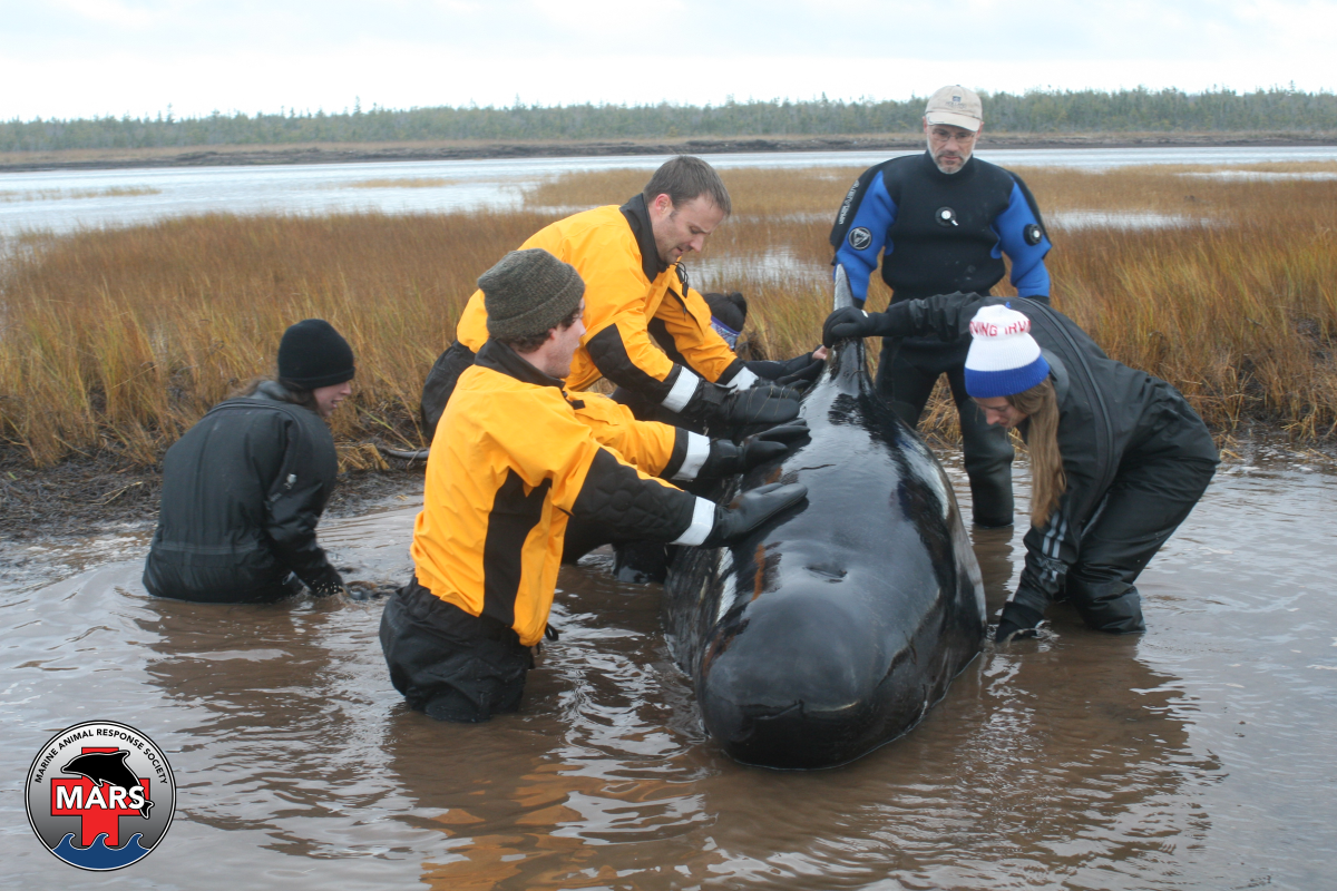 A group of MARS volunteers responding to a call. (MARS)