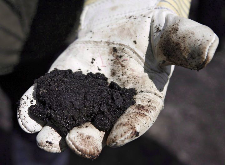 An oil worker holds raw sand bitumen near Fort McMurray, on July 9, 2008.