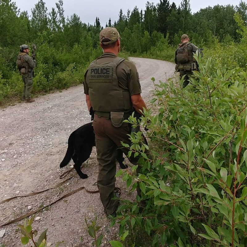 RCMP search the rugged terrain of northern Manitoba for murder suspects Bryer Schmegelsky and Kam McLeod. These photos were provided by the RCMP; it’s unclear which day they were taken.