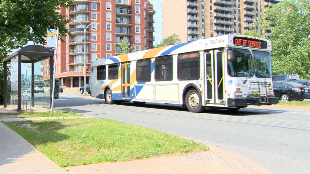 A Halifax Transit bus moves along Robie Street on July 16, 2019.