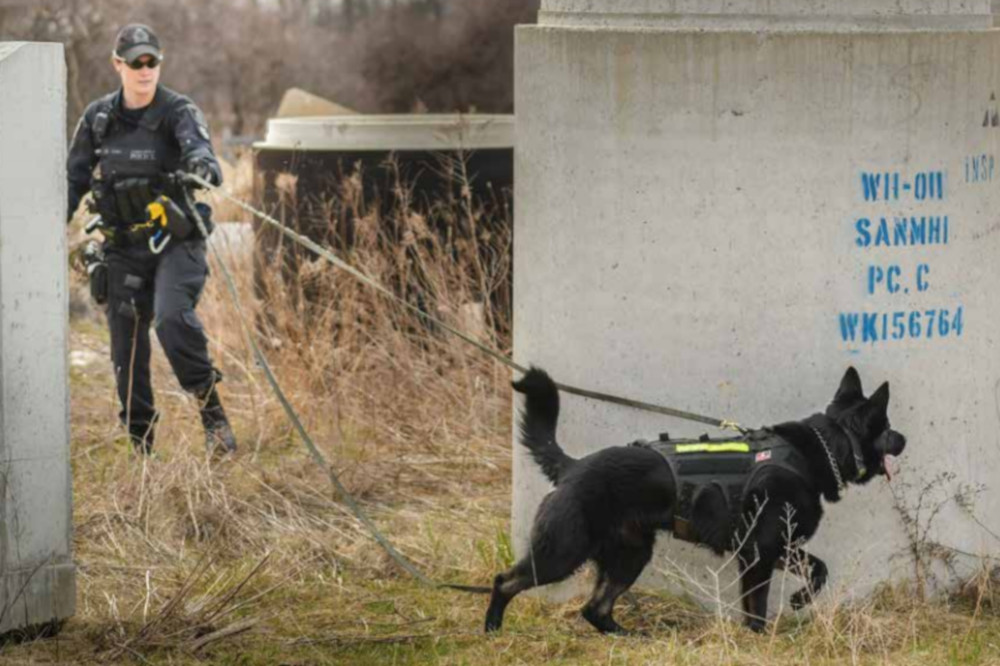 Waterloo Regional Police service dog Grim and his partner Const. Marrissa Zuliani. 