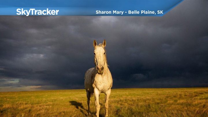 Sharon Mary took the July 10 Your Saskatchewan photo in Belle Plaine.