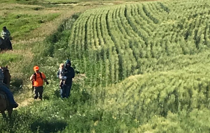 A search operation for a two-year old boy who went missing in Saskatchewan on July 22, is seen near Aneroid, Sask., on July 23, 2019. The deputy fire chief in a southwestern Saskatchewan town says volunteer searchers erupted in joy when a missing toddler was found safe after spending the night stuck in the mud. 
