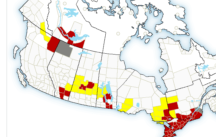 Tornado warnings were issued for southern Alberta Thursday. 