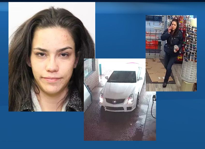 Edmonton homicide detectives conduct rural search in relation to missing woman Patricia Wendy Pangracs.