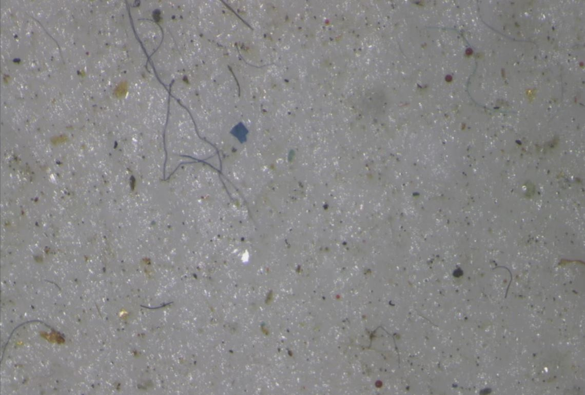 Microplastic found in ice core samples taken during the U.S.-led Northwest Passage Project is shown on a screen during of an 18-day icebreaker expedition that took place in July and August 2019, in a still image taken from a handout video obtained by Reuters on August 14, 2019.