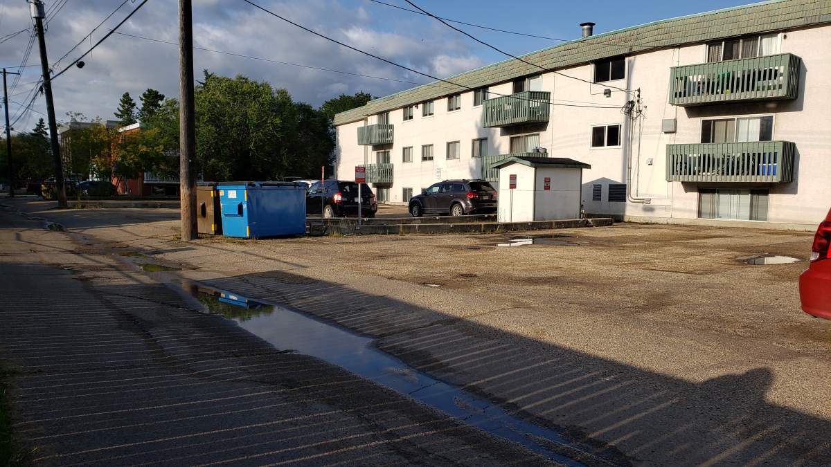 Edmonton police are investigating after human remains were found in an alley.