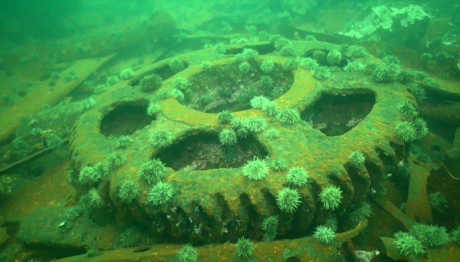 Wreckage of the HMS Raleigh is shown in a handout screengrab.