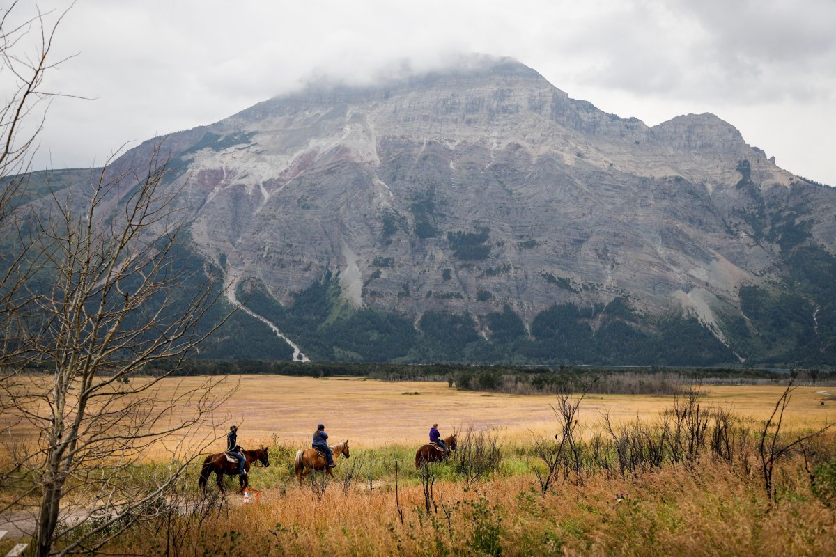 Riders head out form Alpine Stables for a trail ride after a wildfire two years ago in Waterton National Park, Alta., Friday, Aug. 9, 2019.