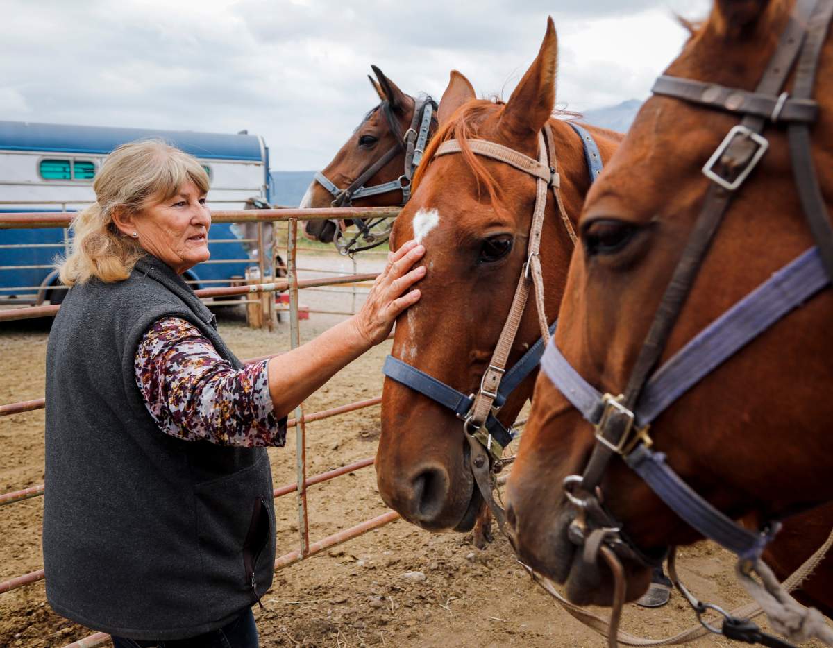 Alpine Stables owner Deb Watson pets Zamboni at the riding centre’s temporary facility after a wildfire two years ago in Waterton National Park, Alta., Friday, Aug. 9, 2019.