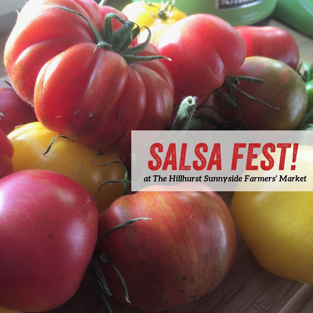 Salsa Fest! - image