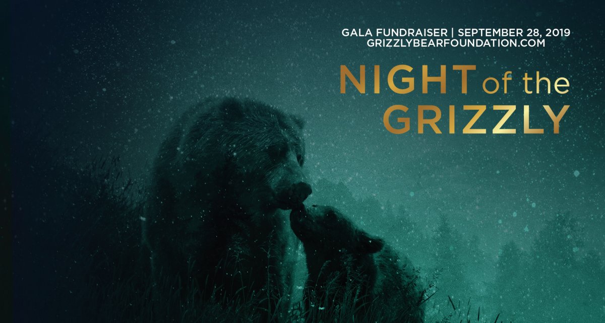 Night of the Grizzly - image