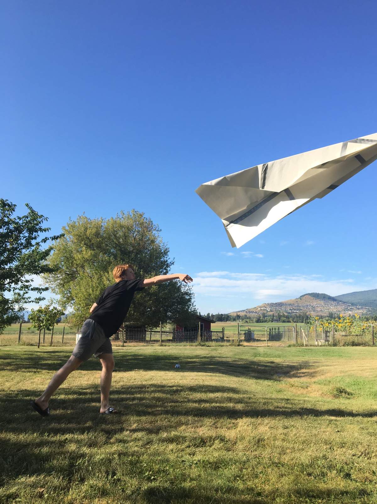 Giant Paper Airplane Launch - image