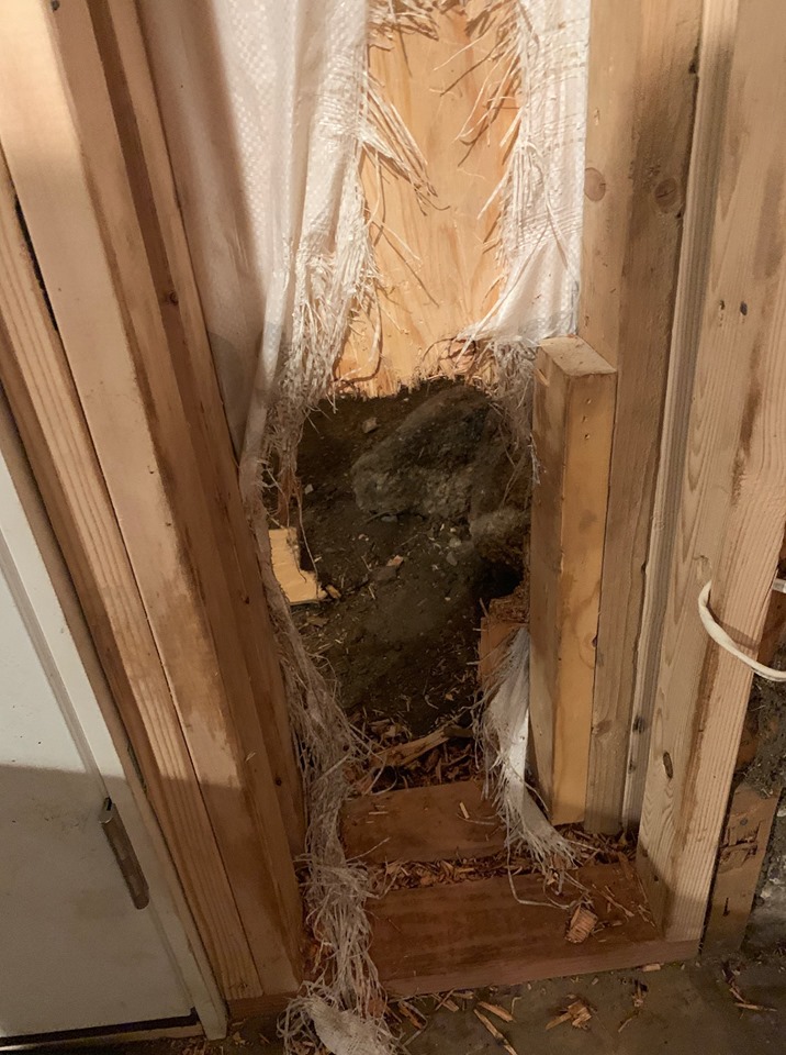 Police say a bear that entered a home and left through a wall in Estes Park, Colo., on Friday was likely lured by the scent of garbage.