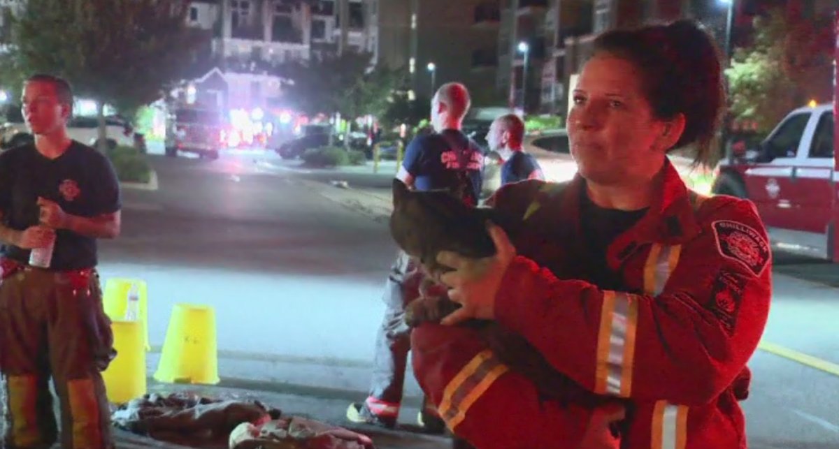 Chilliwack apartment complex blaze displaces residents - image