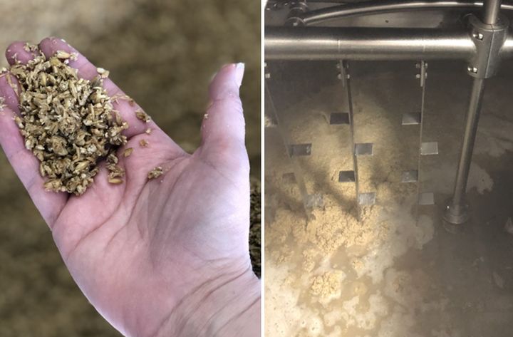 In an effort to showcase local ingredients like malt barley, hops and different berries, Alberta Open Farm Days reached out to a number of craft breweries in the province to see if they would collaborate on a special Open Farm Days beer ale.