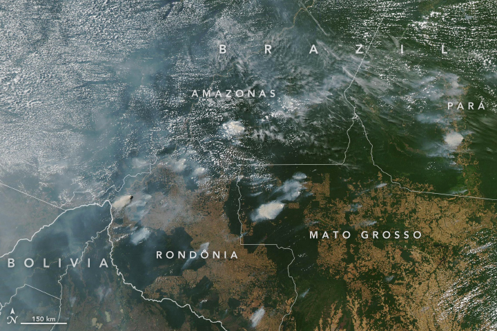 Nasa Photos Show 19 Is Brazilian Amazon S Worst Fire Year In A Decade National Globalnews Ca