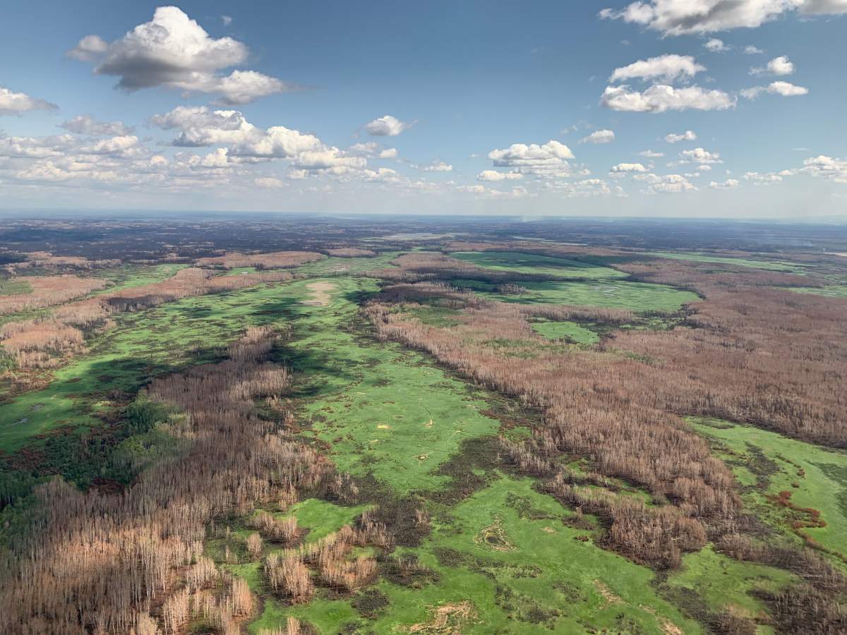 On Friday, Aug. 23, 2019, Alberta Wildfire announced the Chuckegg Creek wildfire was finally under control.