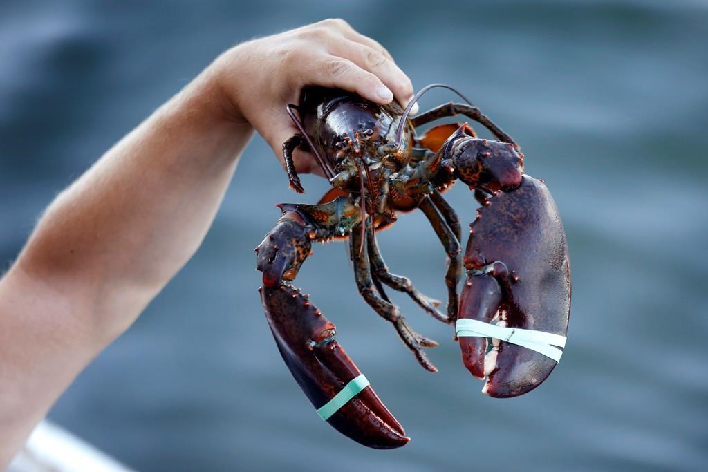 The Canadian Food Inspection Agency has recalled lobster and crab in brine products due to botulism concerns.