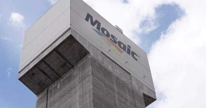 1 dead after ‘fall of ground’ incident at Saskatchewan potash mine 1 dead after ‘fall of ground’ incident at Saskatchewan potash mine