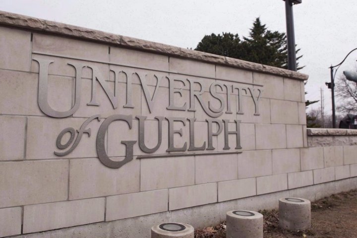 Judge imposes fine to University of Guelph after worker injured while unloading soil