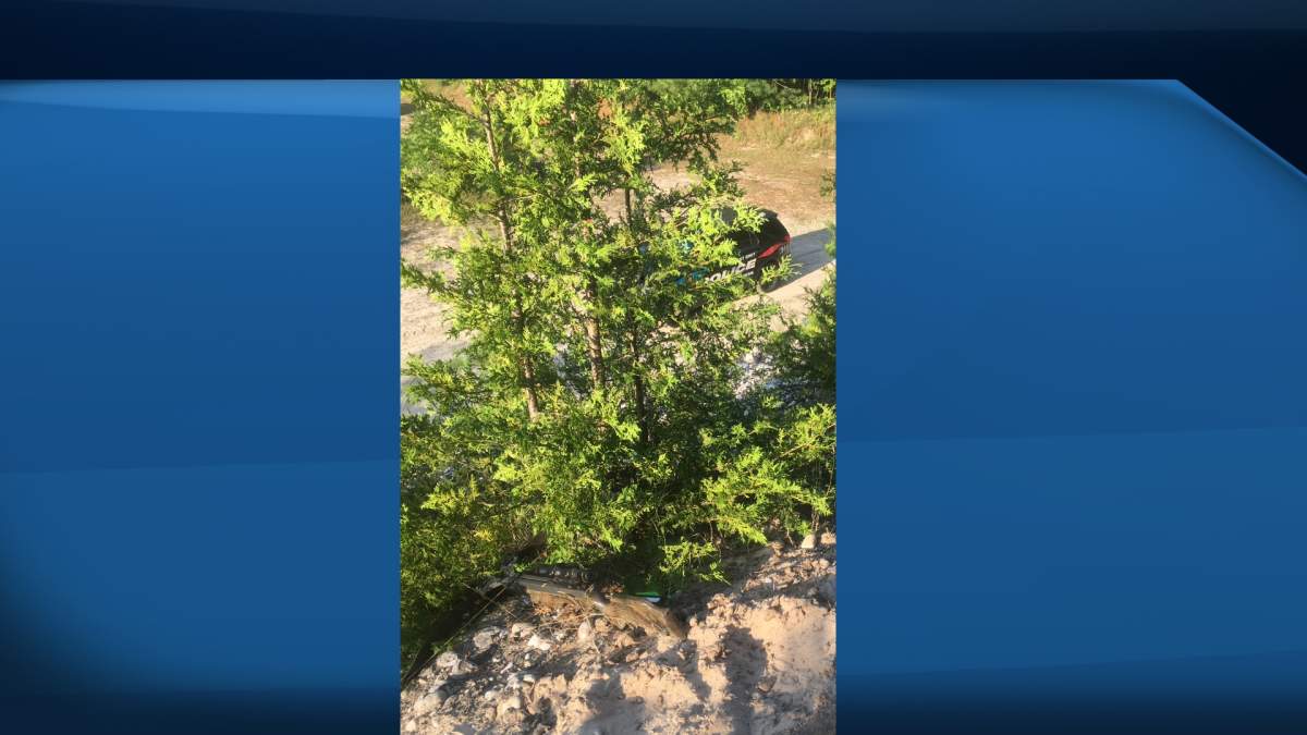 West Grey police say a man perched himself on a hill in the bushes after allegedly firing a crossbow at a woman on Monday morning.