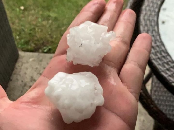 Grapefruitsized hail hammered Spruce Grove as thunderstorm swept