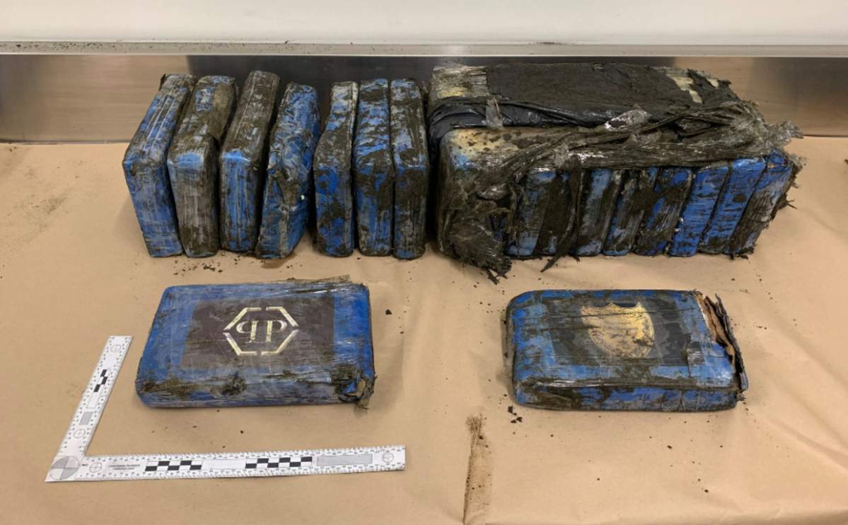 A New Zealand woman stumbled upon 19 packages of cocaine while walking her two dogs.