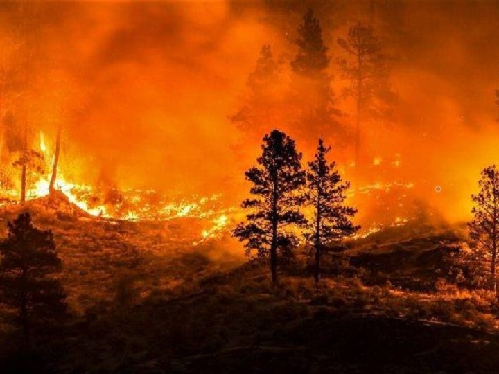 Creators of a mobile app that tracks wildfires say they have been paying hundreds of dollars each month to keep the app running.