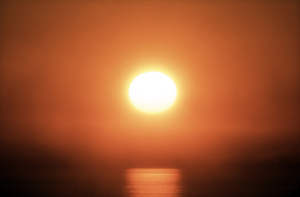 A heat warning has been issued for central Ontario.